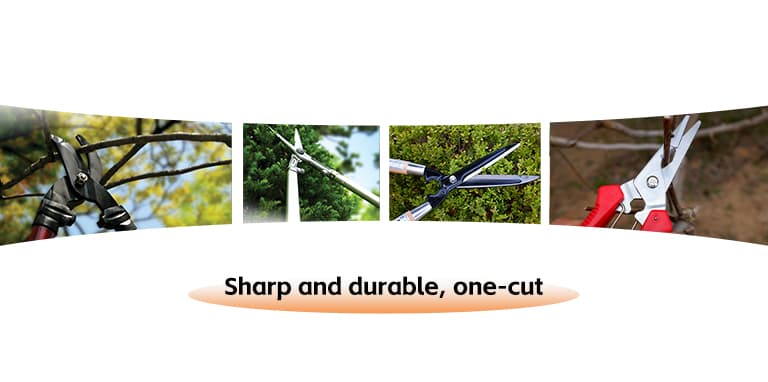 Pruning Shears